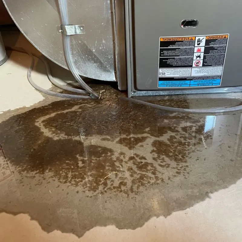 Pipe Burst and Leak Restoration in Montrose, VA