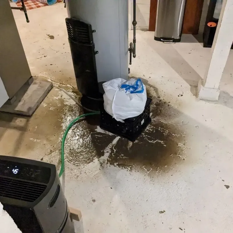 Sewage Backup Cleanup Service in Montrose, VA